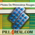 Pilules De Rhinocéros Rouges viagra2